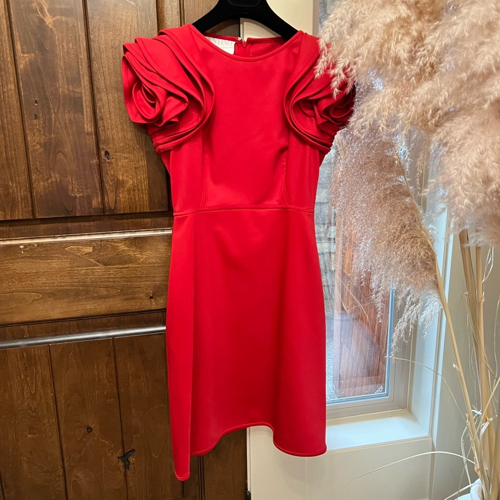 Valentino Rose Sleeve Dress